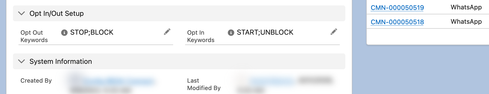 The Opt In/Out Setup section of a REDA Connect Connect Account record with the Opt Out Keywords field holding STOP and BLOCK and the Opt In Keywords field holding START and UNBLOCK, each with its inline edit pencil for changing the keyword list.
