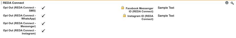 Recommended REDA Connect section on a Lead layout. Apply the same grouping to the Contact layouts used by your team.