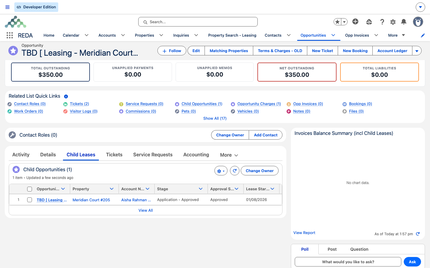 Child Leases tab on the master lease listing the child lease